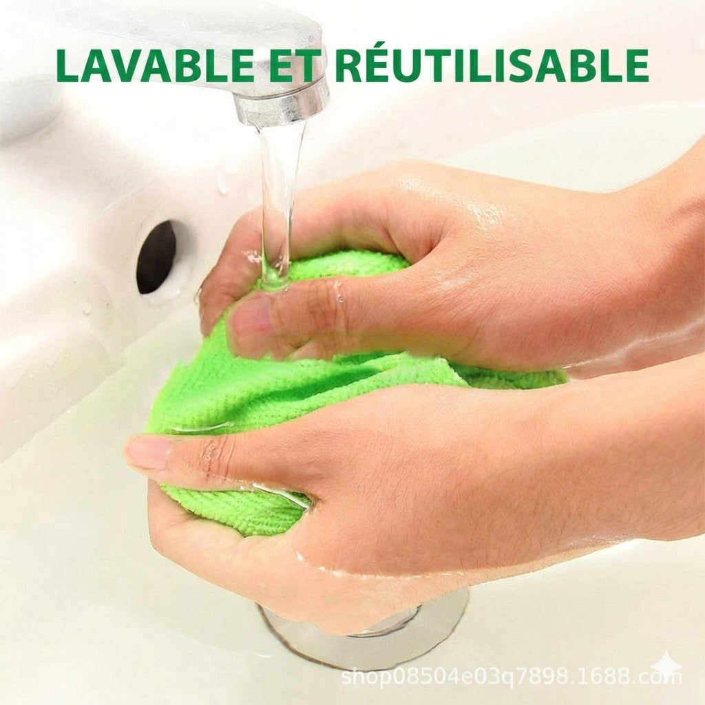 Kit de Nettoyage de Vitres Télescopique - Manche Extensible avec Mouilleur et Raclette