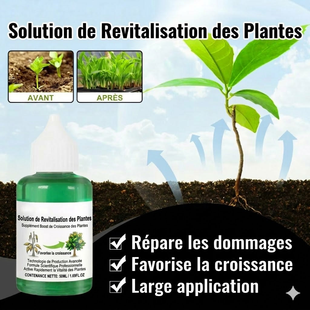 Solution nutritive pour plantes