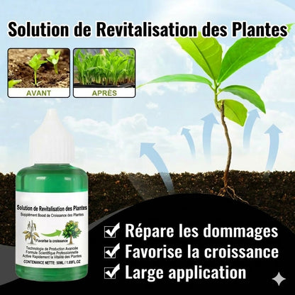 Solution nutritive pour plantes