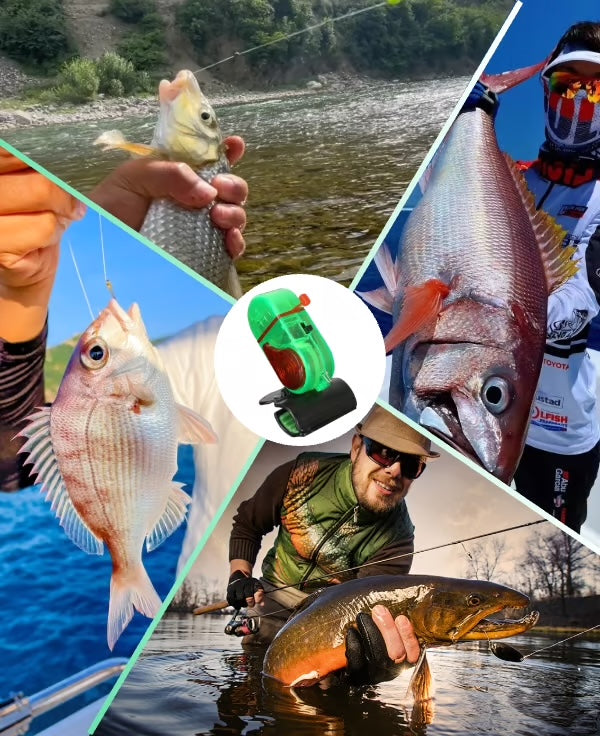 Alarme de canne à pêche – Détection instantanée des touches