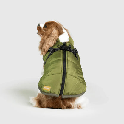 DoggyKings™ Manteau pour Chien avec Harnais Intégré - Imperméable et Chaud (Design 3-en-1)