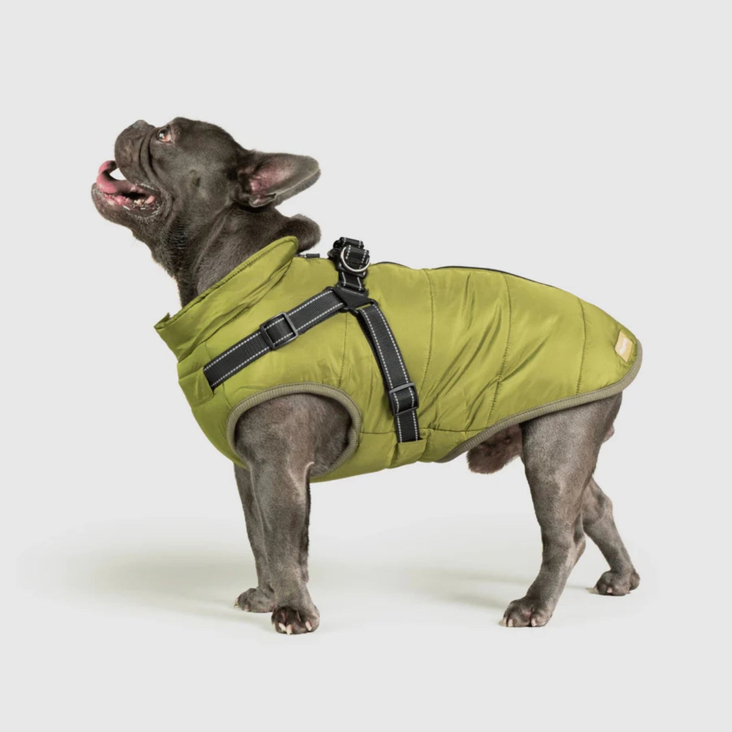 DoggyKings™ Manteau pour Chien avec Harnais Intégré - Imperméable et Chaud (Design 3-en-1)