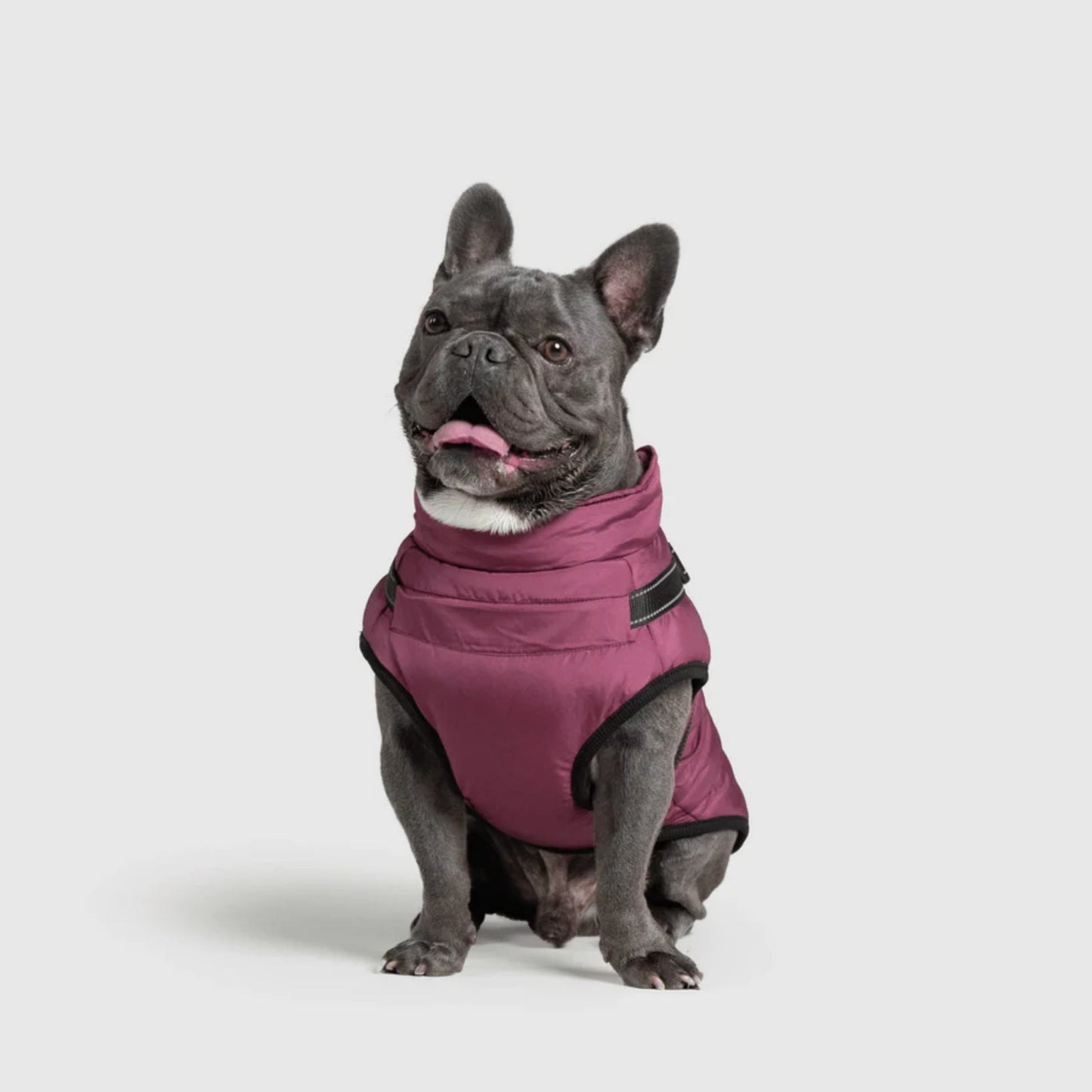 DoggyKings™ Manteau pour Chien avec Harnais Intégré - Imperméable et Chaud (Design 3-en-1)