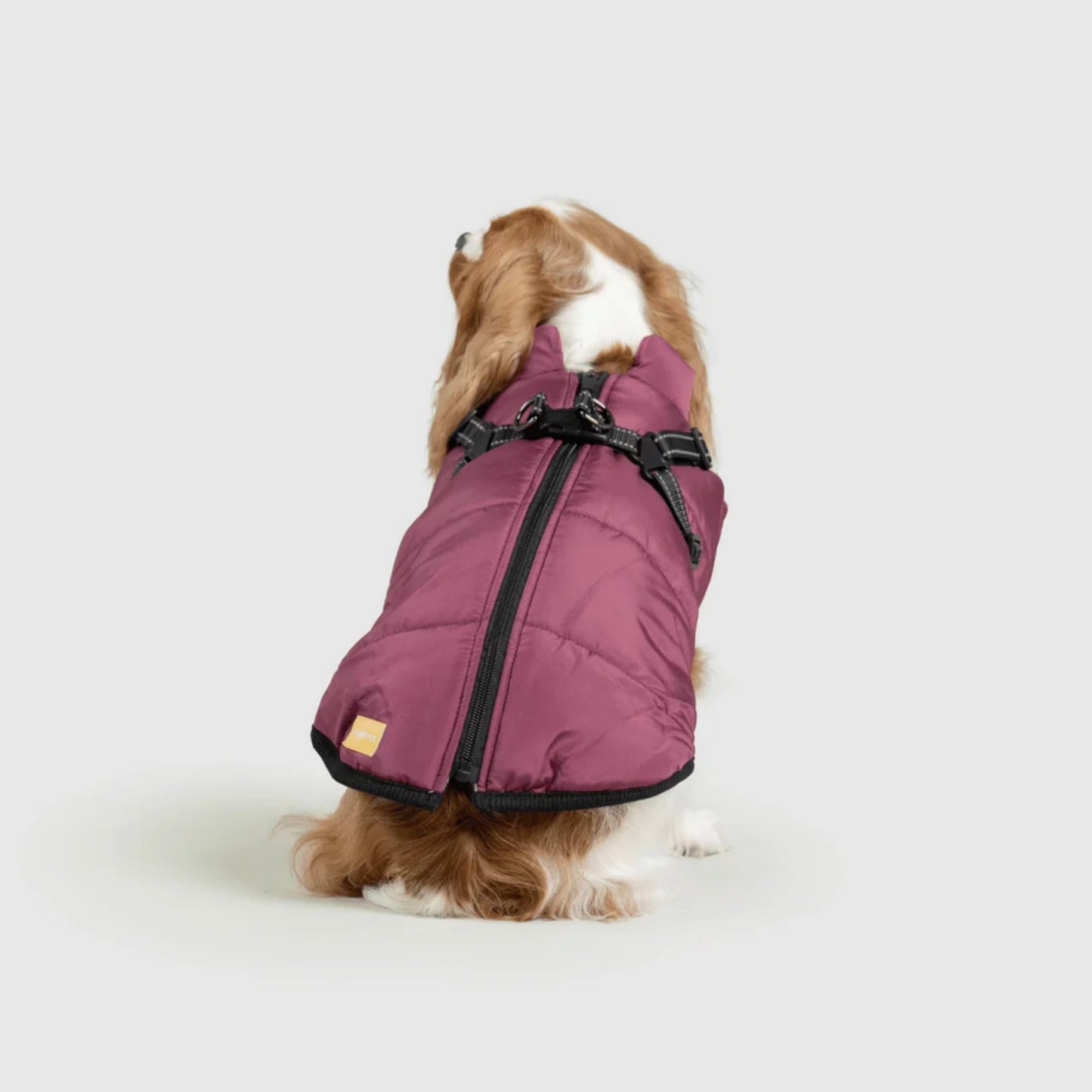 DoggyKings™ Manteau pour Chien avec Harnais Intégré - Imperméable et Chaud (Design 3-en-1)