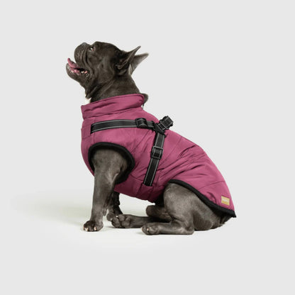 DoggyKings™ Manteau pour Chien avec Harnais Intégré - Imperméable et Chaud (Design 3-en-1)