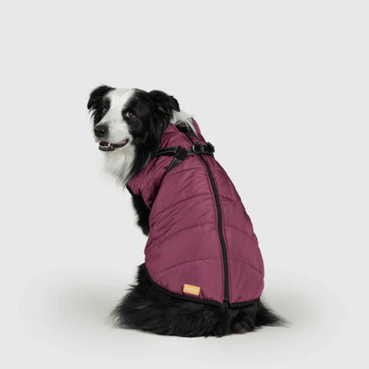 DoggyKings™ Manteau pour Chien avec Harnais Intégré - Imperméable et Chaud (Design 3-en-1)