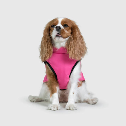 DoggyKings™ Manteau pour Chien avec Harnais Intégré - Imperméable et Chaud (Design 3-en-1)
