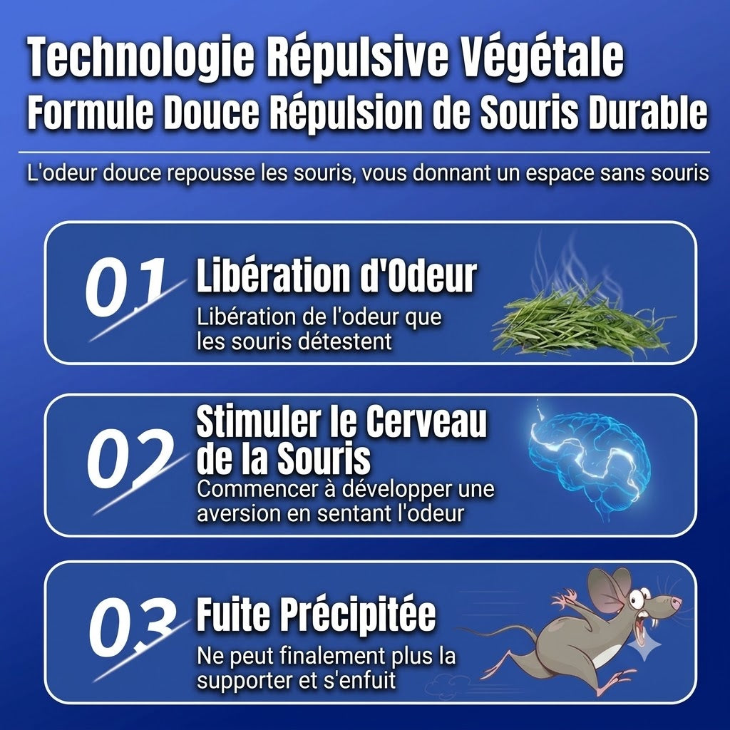 Gel répulsif anti-souris d'origine végétale – Adapté pour l'intérieur