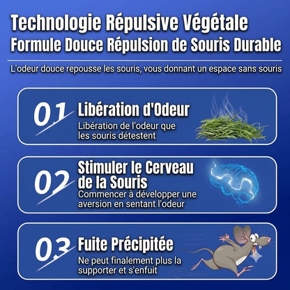 Gel répulsif anti-souris d'origine végétale – Adapté pour l'intérieur