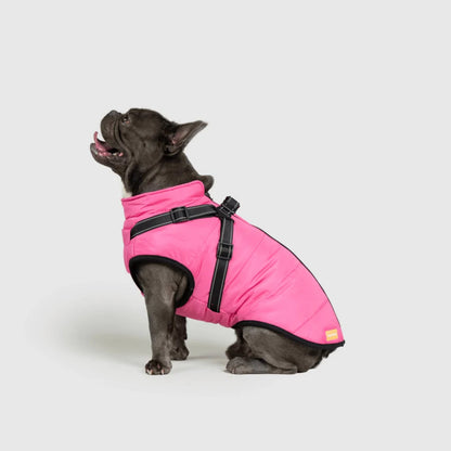 DoggyKings™ Manteau pour Chien avec Harnais Intégré - Imperméable et Chaud (Design 3-en-1)