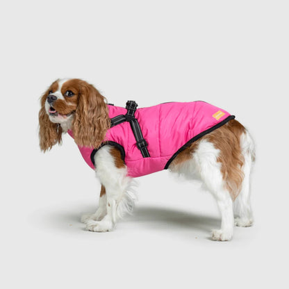 DoggyKings™ Manteau pour Chien avec Harnais Intégré - Imperméable et Chaud (Design 3-en-1)