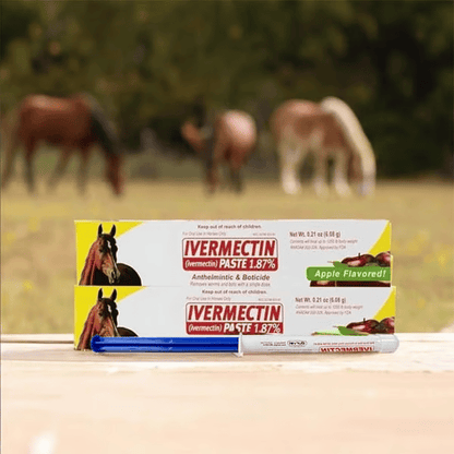 Pâte d'Ivermectine pour Chevaux