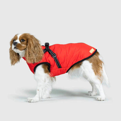 DoggyKings™ Manteau pour Chien avec Harnais Intégré - Imperméable et Chaud (Design 3-en-1)