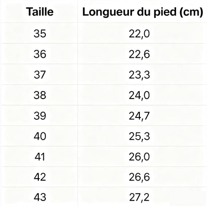 Winterstep – Chaussures d’Hiver Antidérapantes