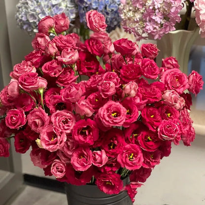 Graines d'Eustoma Roses sans épines (100 pièces) 💐Graines de Lisianthus