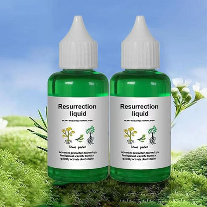 Solution nutritive pour plantes