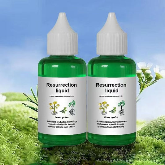 Solution nutritive pour plantes