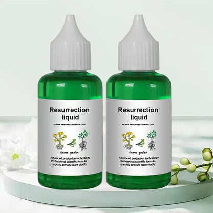 Solution nutritive pour plantes
