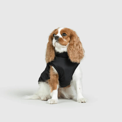 DoggyKings™ Manteau pour Chien avec Harnais Intégré - Imperméable et Chaud (Design 3-en-1)