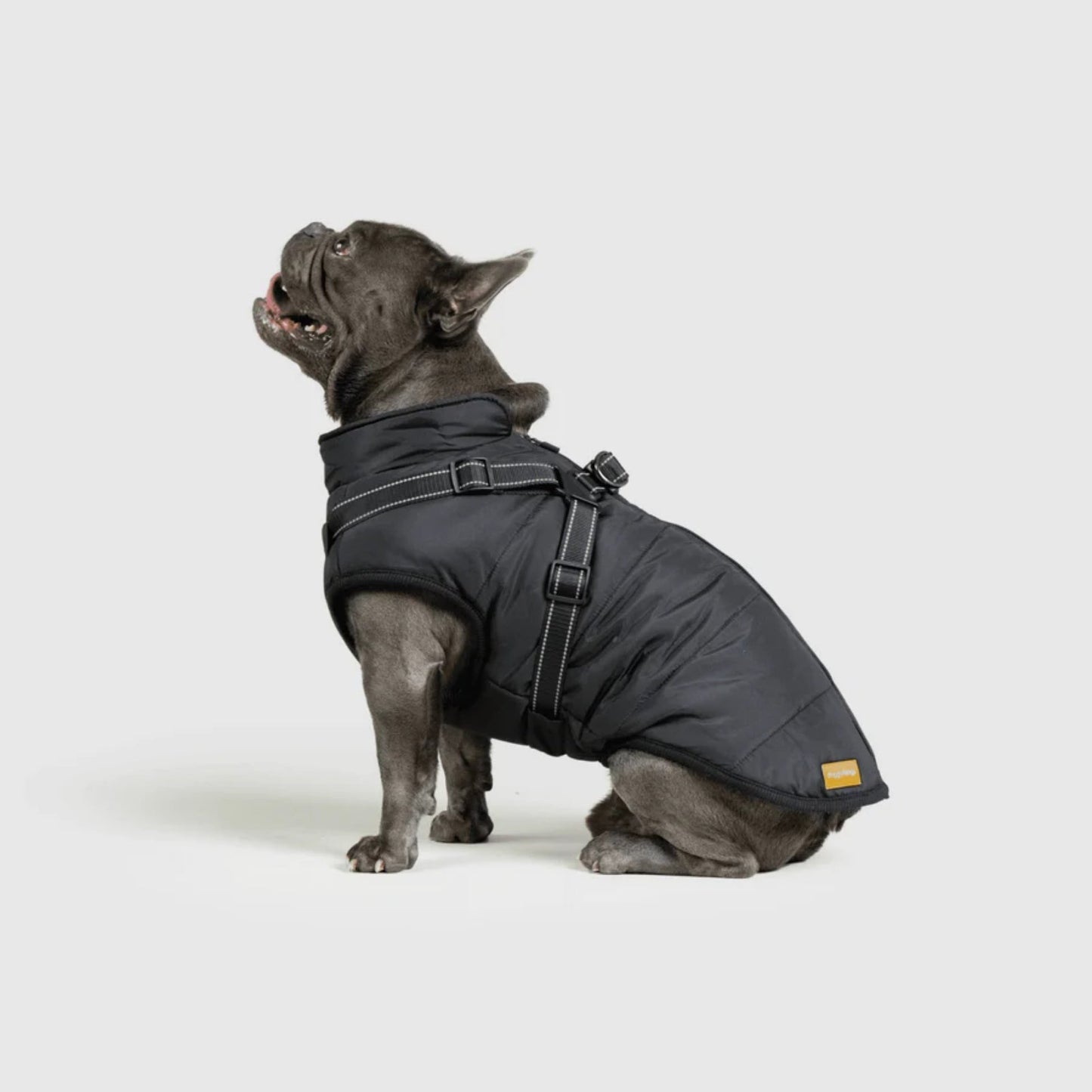 DoggyKings™ Manteau pour Chien avec Harnais Intégré - Imperméable et Chaud (Design 3-en-1)