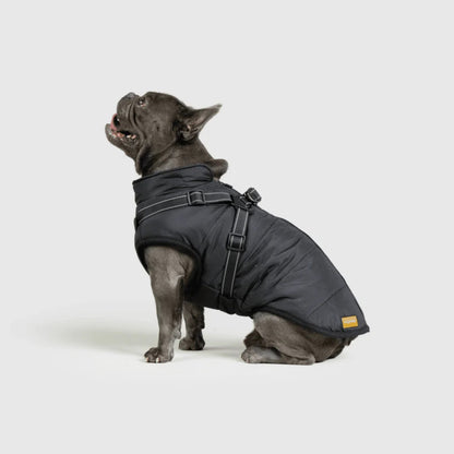 DoggyKings™ Manteau pour Chien avec Harnais Intégré - Imperméable et Chaud (Design 3-en-1)