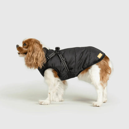 DoggyKings™ Manteau pour Chien avec Harnais Intégré - Imperméable et Chaud (Design 3-en-1)