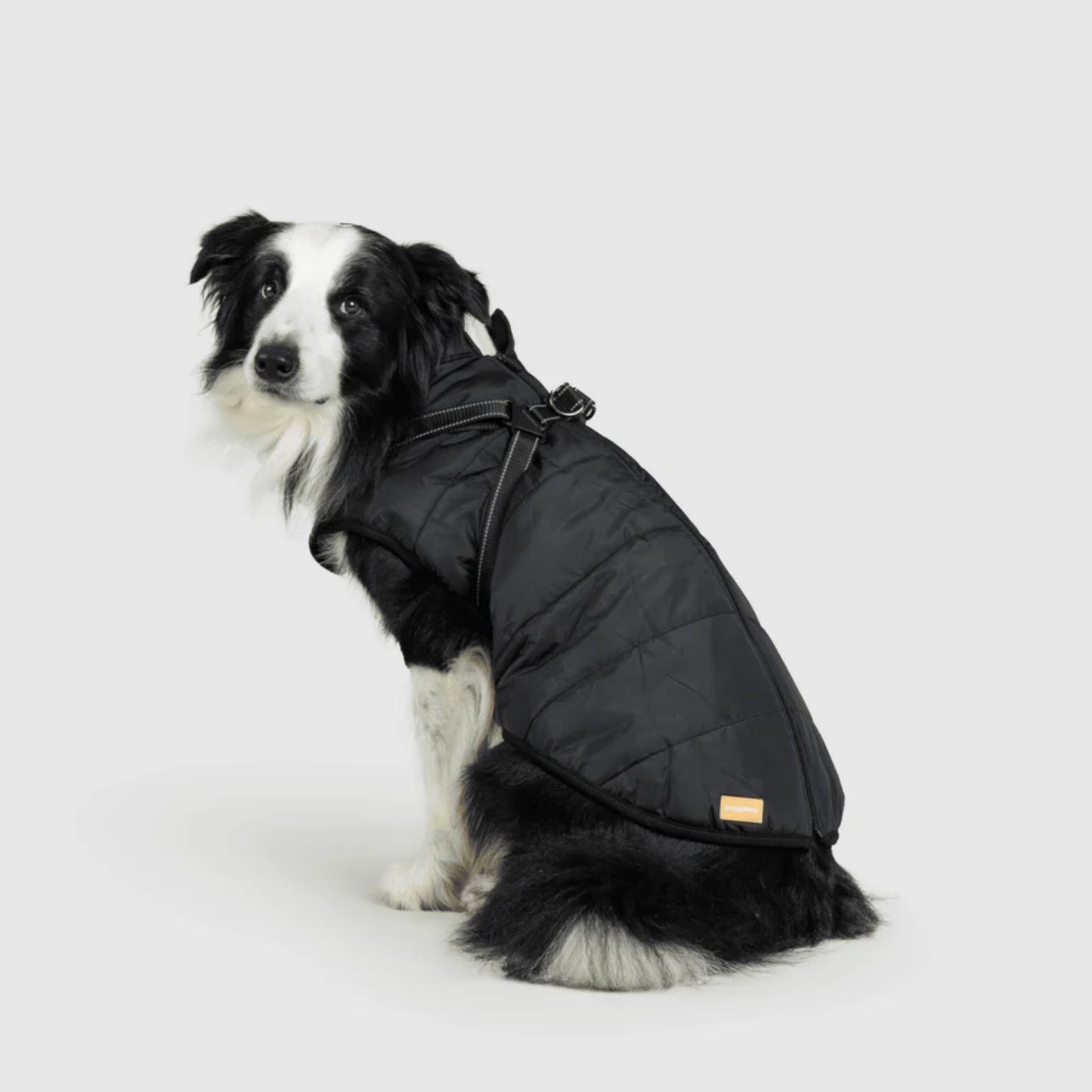 DoggyKings™ Manteau pour Chien avec Harnais Intégré - Imperméable et Chaud (Design 3-en-1)