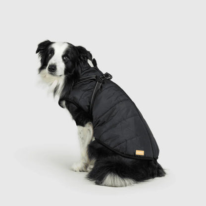 DoggyKings™ Manteau pour Chien avec Harnais Intégré - Imperméable et Chaud (Design 3-en-1)