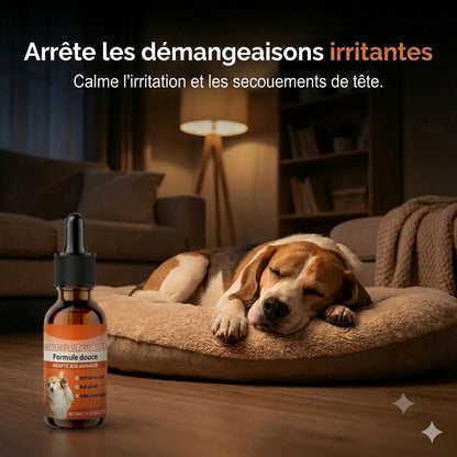 Gouttes auriculaires douces pour chiens – Pour les soins quotidiens