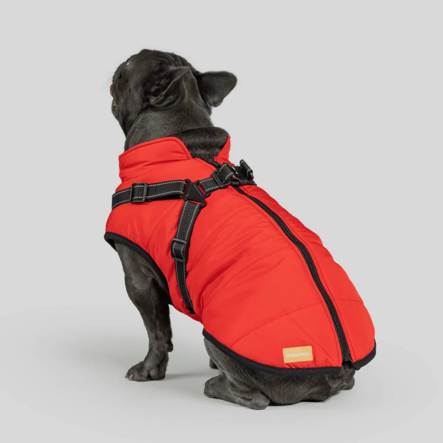 DoggyKings™ Manteau pour Chien avec Harnais Intégré - Imperméable et Chaud (Design 3-en-1)