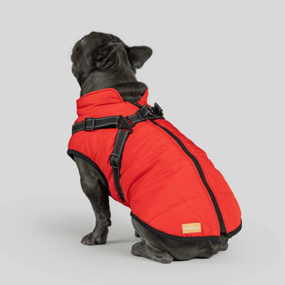 DoggyKings™ Manteau pour Chien avec Harnais Intégré - Imperméable et Chaud (Design 3-en-1)