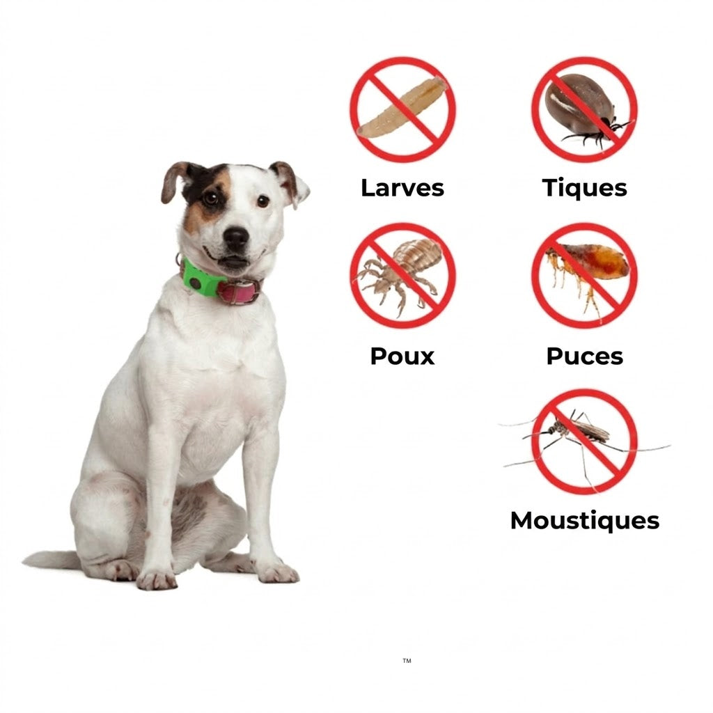 Collier anti-puces et tiques FurLife™