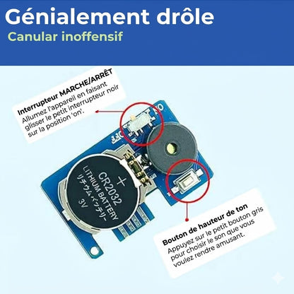Grillon invisible : L'ultime farce sonore