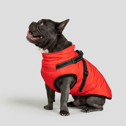 DoggyKings™ Manteau pour Chien avec Harnais Intégré - Imperméable et Chaud (Design 3-en-1)