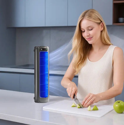 Climatiseur portable