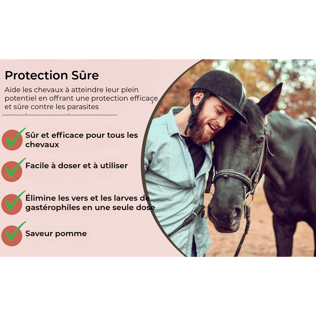 Pâte d'Ivermectine pour Chevaux