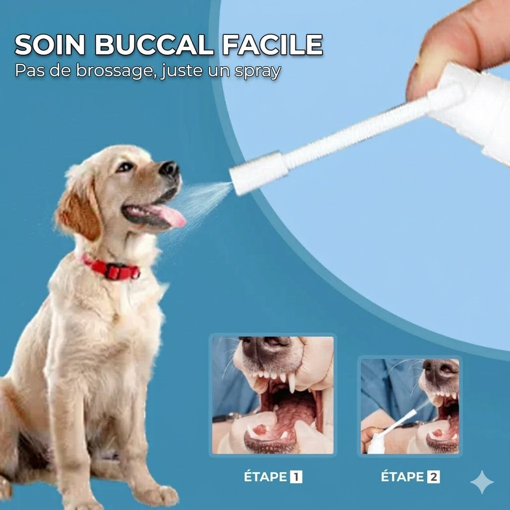 Spray de soin dentaire pour animaux