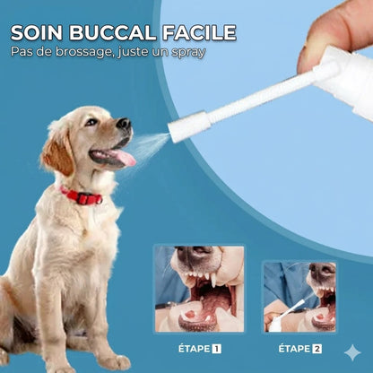 Spray de soin dentaire pour animaux