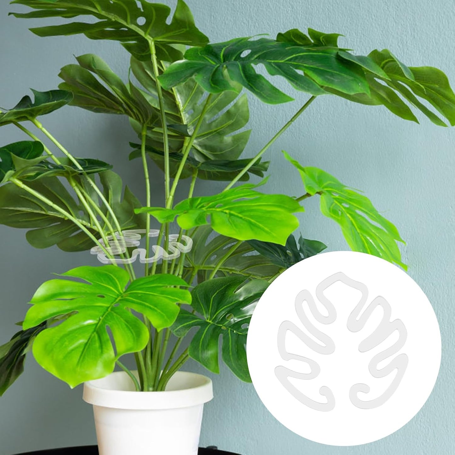 Tuteur pour plantes transparent en acrylique, forme feuille de monstera | Support invisible pour plantes d'intérieur (Lot de 5 pièces)