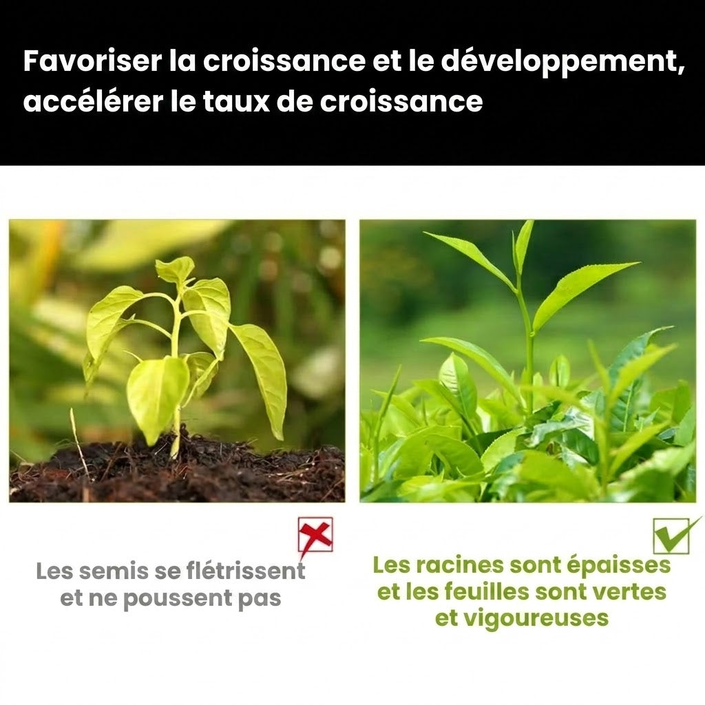 Solution nutritive pour plantes