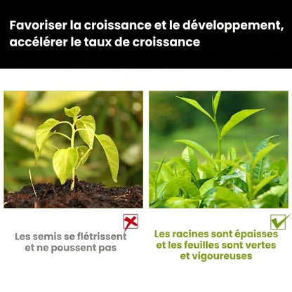 Solution nutritive pour plantes