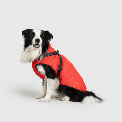 DoggyKings™ Manteau pour Chien avec Harnais Intégré - Imperméable et Chaud (Design 3-en-1)