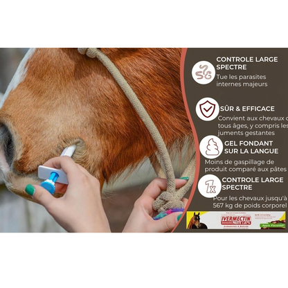 Pâte d'Ivermectine pour Chevaux