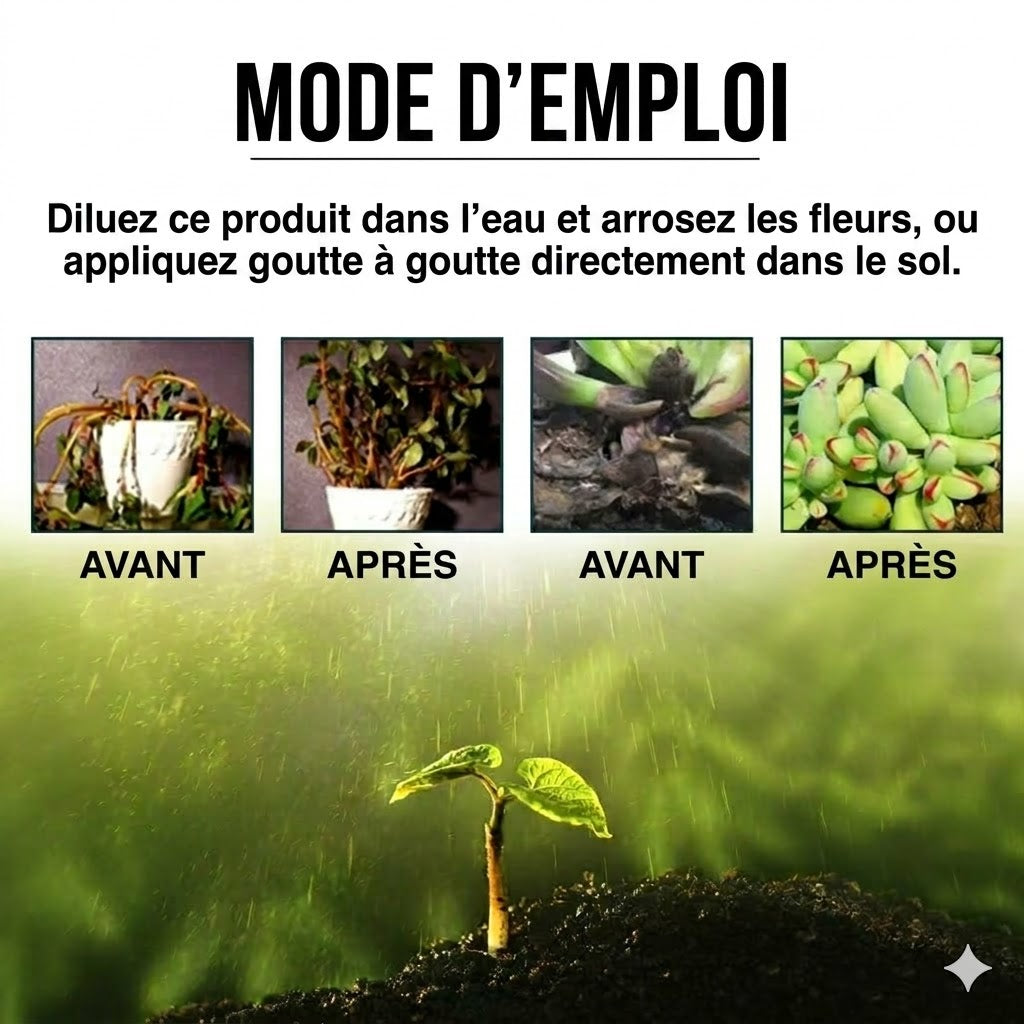 Solution nutritive pour plantes