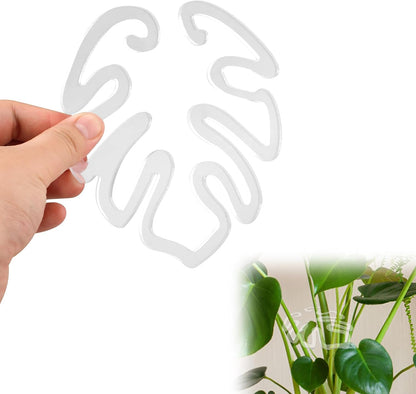 Tuteur pour plantes transparent en acrylique, forme feuille de monstera | Support invisible pour plantes d'intérieur (Lot de 5 pièces)