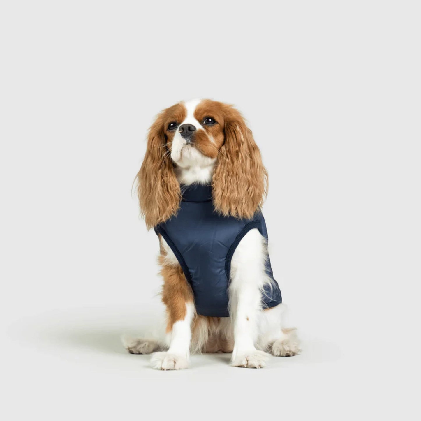 DoggyKings™ Manteau pour Chien avec Harnais Intégré - Imperméable et Chaud (Design 3-en-1)