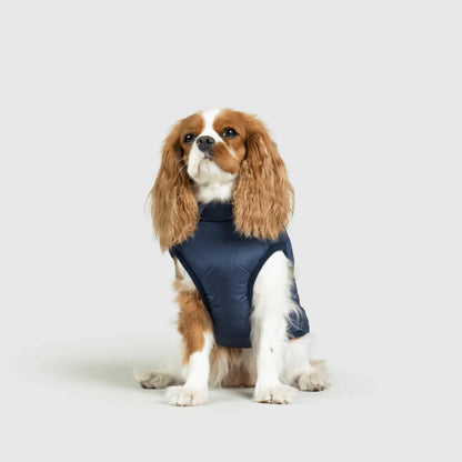 DoggyKings™ Manteau pour Chien avec Harnais Intégré - Imperméable et Chaud (Design 3-en-1)