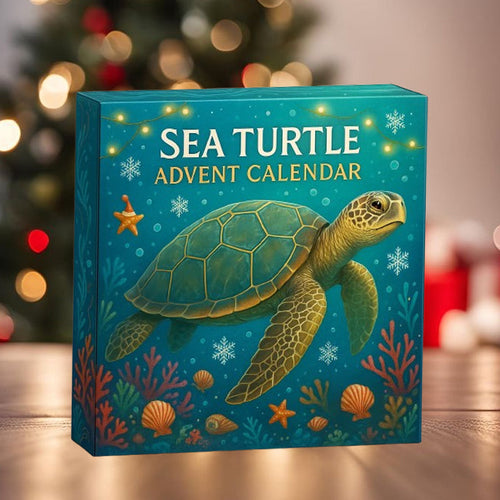 Calendrier de l’Avent Tortue 2025