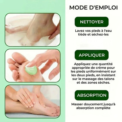 Crème hydratante pour les pieds à l'huile d'arbre à thé et à l'aloe vera - Pour pieds secs