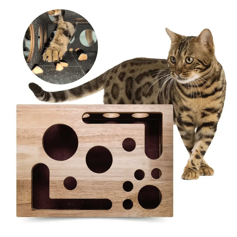 Griffoir Lime à Griffes pour Chat - Manucure Facile en Jouant (Boîte Puzzle)